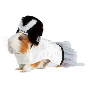 Frankenstein Bride Costume Thrills & Chills™ Small Animal Monster